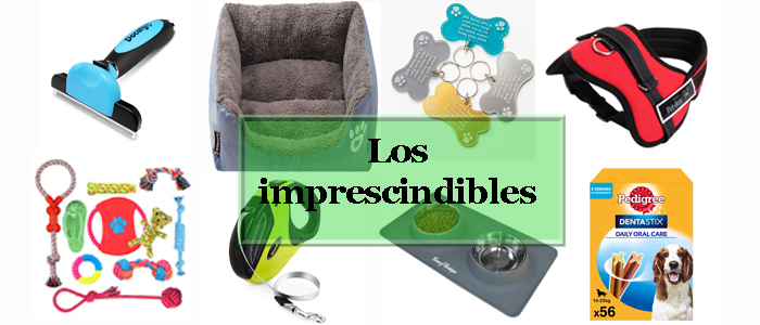 imprescindibles